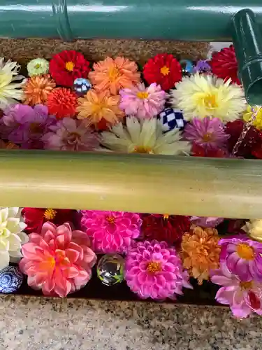 伊和志津神社の手水舎