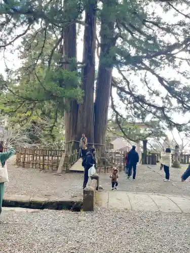 善光寺(長野県)