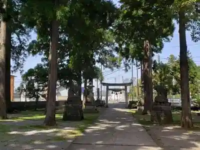 示野神明宮の鳥居