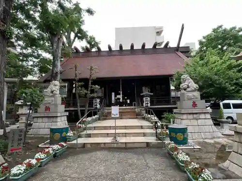 高円寺氷川神社の本殿・本堂