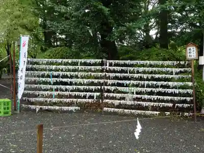 米之宮浅間神社のおみくじ