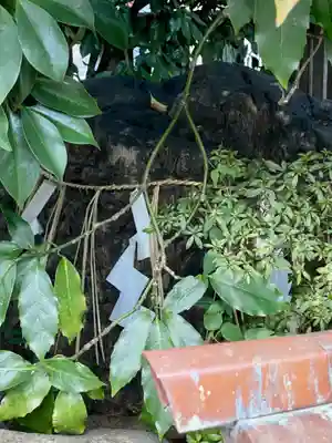 元祇園梛神社・隼神社(京都府)