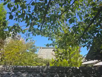 報恩寺(京都府)