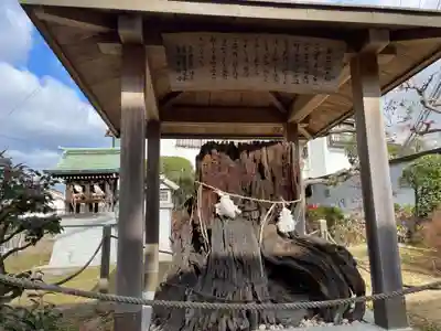 多井畑厄除八幡宮(兵庫県)
