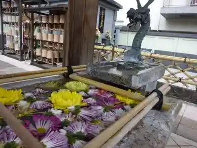 日蓮宗 浄運寺の手水舎