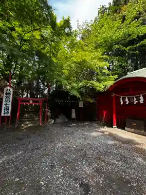 渋川八幡宮の{uncategorized: "未分類", other: "その他", undefined: "問題あり", building: "その他建物", grave: "お墓", sacred_gate: "鳥居", guardian: "狛犬", statue: "像", buddha: "仏像", history: "歴史", nature: "自然", garden: "庭園", animal: "動物", pagoda: "塔", temizu: "手水舎", mountain_gate: "山門・神門", sanctuary: "本殿・本堂", subordinate: "末社・摂社", art: "芸術", scenery: "景色", jizo: "地蔵", ema: "絵馬", goshuin: "御朱印", omikuji: "おみくじ", items: "授与品その他", amulet: "お守り", goshuincho: "御朱印帳", eats: "食事", festival: "お祭り", votive_dance: "神楽", shichigosan: "七五三参", wedding: "結婚式", experience: "体験その他", initially: "初詣", around: "周辺", anti_infection: "感染症対策"}