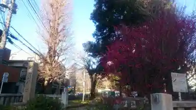 渋谷氷川神社のその他建物
