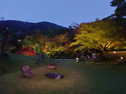 高台寺（高台寿聖禅寺・高臺寺）の庭園