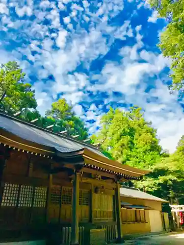 阿夫利神社の本殿・本堂