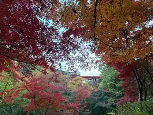 神應寺(京都府)