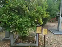 日吉神社(愛知県)