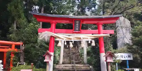 烏子稲荷神社の鳥居