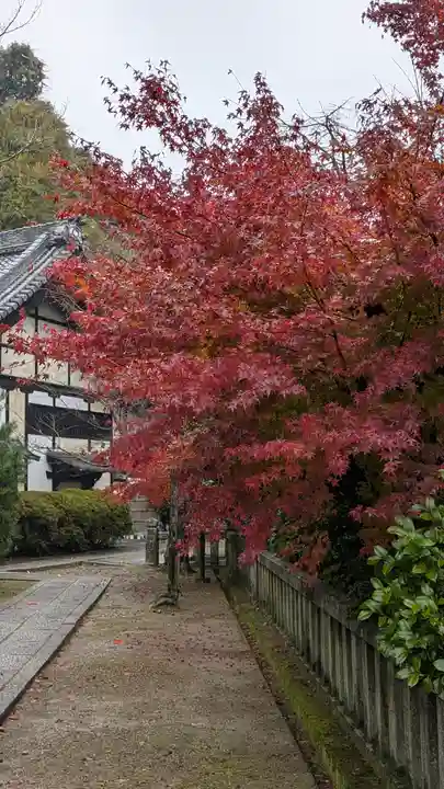 観音寺(山崎聖天)(京都府)
