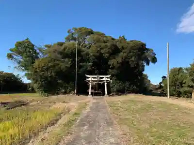 水神社(千葉県)