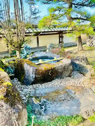圓融寺の{uncategorized: "未分類", other: "その他", undefined: "問題あり", building: "その他建物", grave: "お墓", sacred_gate: "鳥居", guardian: "狛犬", statue: "像", buddha: "仏像", history: "歴史", nature: "自然", garden: "庭園", animal: "動物", pagoda: "塔", temizu: "手水舎", mountain_gate: "山門・神門", sanctuary: "本殿・本堂", subordinate: "末社・摂社", art: "芸術", scenery: "景色", jizo: "地蔵", ema: "絵馬", goshuin: "御朱印", omikuji: "おみくじ", items: "授与品その他", amulet: "お守り", goshuincho: "御朱印帳", eats: "食事", festival: "お祭り", votive_dance: "神楽", shichigosan: "七五三参", wedding: "結婚式", experience: "体験その他", initially: "初詣", around: "周辺", anti_infection: "感染症対策"}