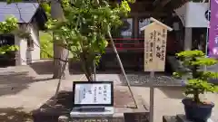 仁木神社(北海道)