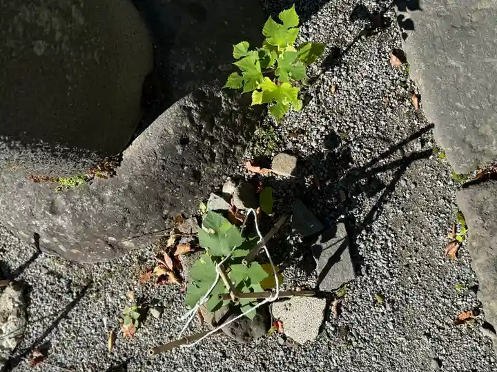 八剣神社(長野県)