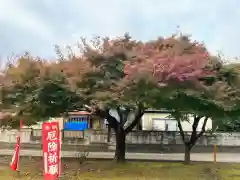 姫宮神社の自然