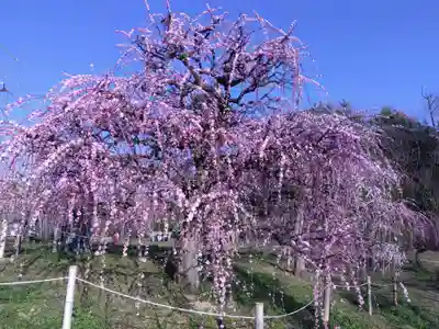 花乃丘神社(三重県)