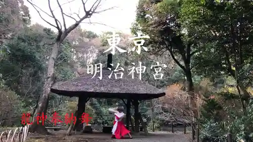 明治神宮(東京都)