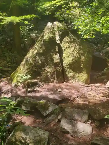 名草厳島神社の自然