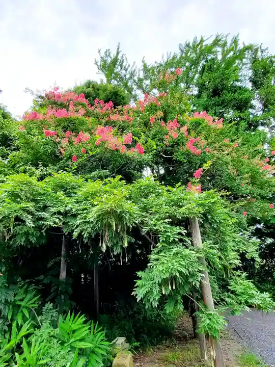 神炊館神社 ⁂奥州須賀川総鎮守⁂の自然