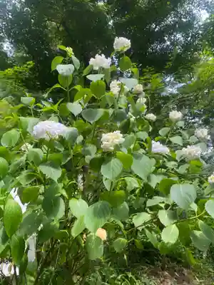 石都々古和気神社(福島県)