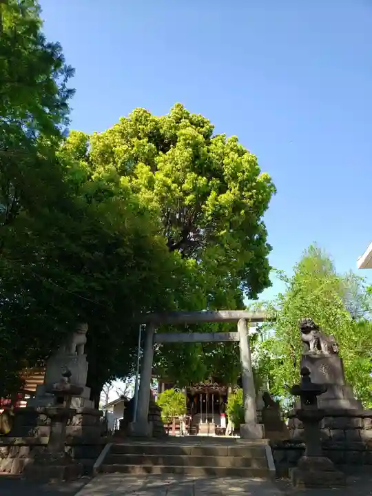 諏訪神社(東京都)