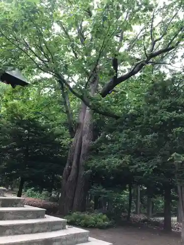 月寒神社の自然