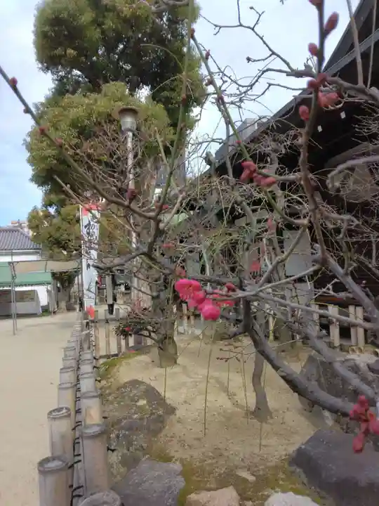 大阪天満宮(大阪府)