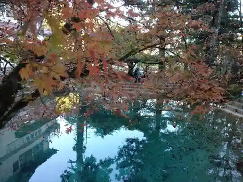 厳島神社の景色