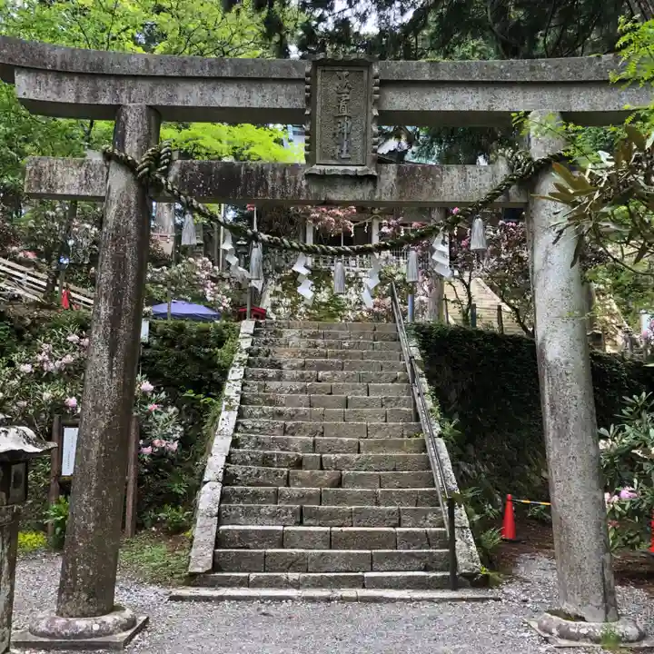 玉置神社(奈良県)