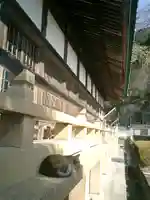 光明寺の本殿・本堂