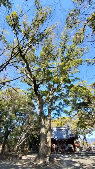 熊野神社の自然