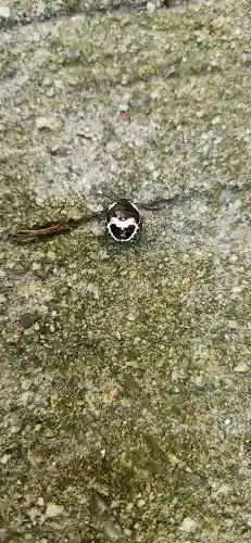 木幡山隠津島神社(二本松市)(福島県)