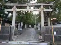 刺田比古神社の鳥居