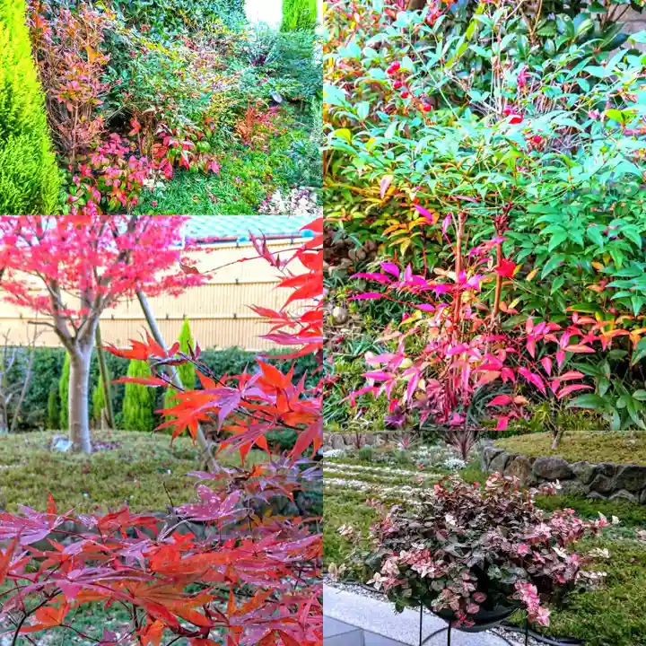 寿量山 速成寺の自然