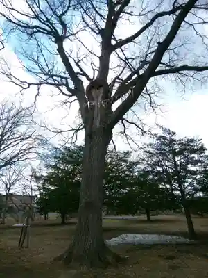厚別神社(北海道)
