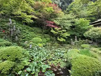 金剛輪寺(滋賀県)