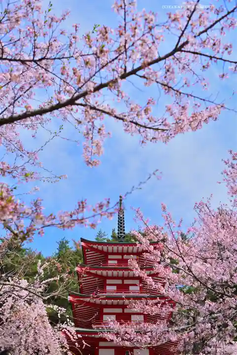 新倉富士浅間神社(山梨県)
