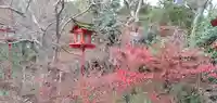 鍬山神社の庭園