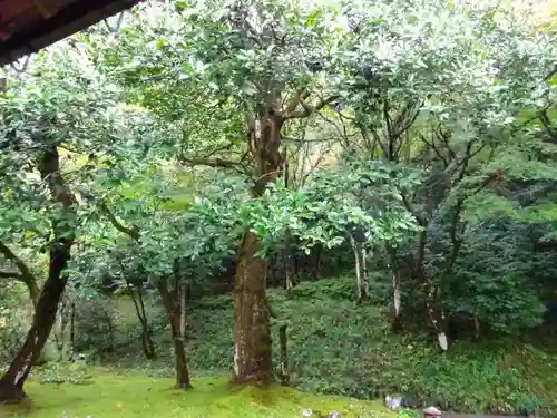 孤篷庵(滋賀県)