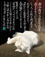 専念寺(大阪府)