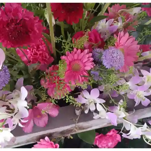 彌彦神社　(伊夜日子神社)の手水舎