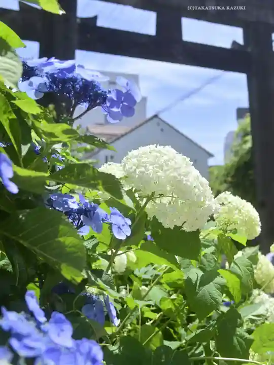 白山神社の自然
