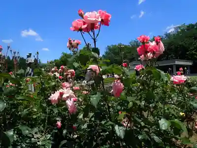 深大寺(東京都)