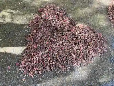 普門寺(切り絵御朱印発祥の寺)(愛知県)