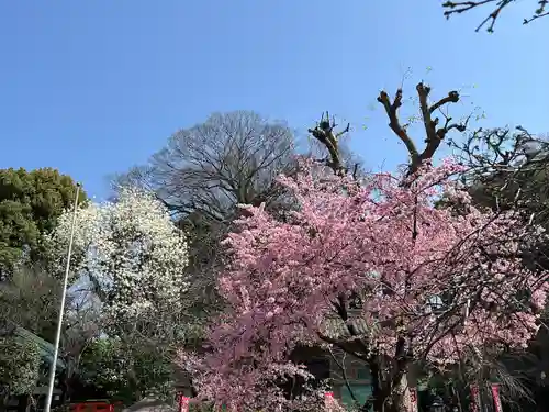 五條天神社の自然