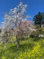 曹洞宗 永松山 龍泉寺の{uncategorized: "未分類", other: "その他", undefined: "問題あり", building: "その他建物", grave: "お墓", sacred_gate: "鳥居", guardian: "狛犬", statue: "像", buddha: "仏像", history: "歴史", nature: "自然", garden: "庭園", animal: "動物", pagoda: "塔", temizu: "手水舎", mountain_gate: "山門・神門", sanctuary: "本殿・本堂", subordinate: "末社・摂社", art: "芸術", scenery: "景色", jizo: "地蔵", ema: "絵馬", goshuin: "御朱印", omikuji: "おみくじ", items: "授与品その他", amulet: "お守り", goshuincho: "御朱印帳", eats: "食事", festival: "お祭り", votive_dance: "神楽", shichigosan: "七五三参", wedding: "結婚式", experience: "体験その他", initially: "初詣", around: "周辺", anti_infection: "感染症対策"}