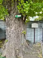 法禅寺(東京都)